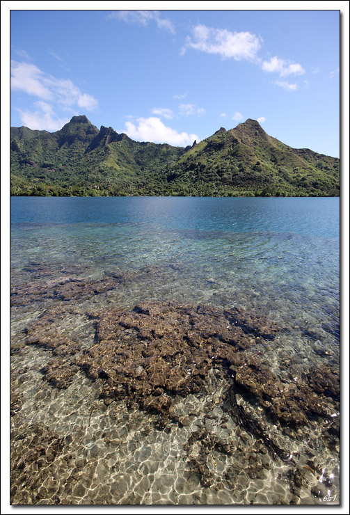 40D11981 cs cadre2.jpg - Moorea - Baie d'Opunohu